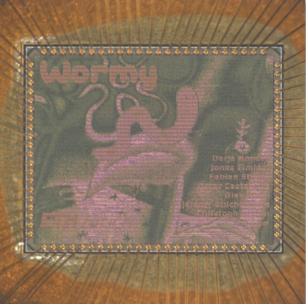 Wormy chip